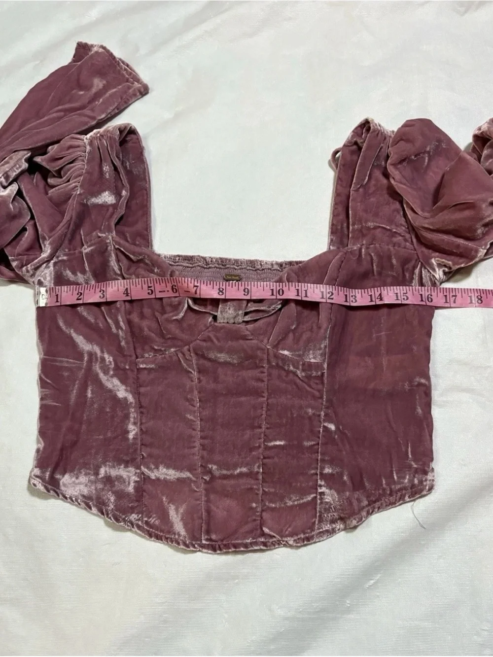 Free People Bridgette Velvet Corset Crop Long Sleeve Top